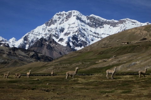 Nevado del Ausangate